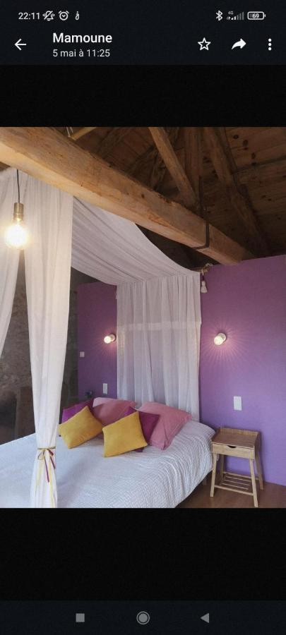 Castelmazars Bed & Breakfast Castelnau-de-Montmiral Dış mekan fotoğraf